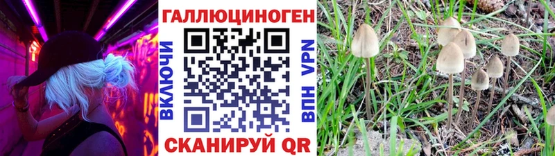 Псилоцибиновые грибы Psilocybine cubensis  цена   Певек 